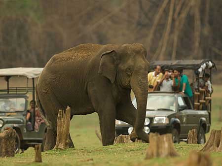 Taxi in Tirupati Coorg places to visit