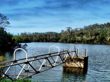 Taxi in Tirupati kodaikanal sightseeing car rentals package