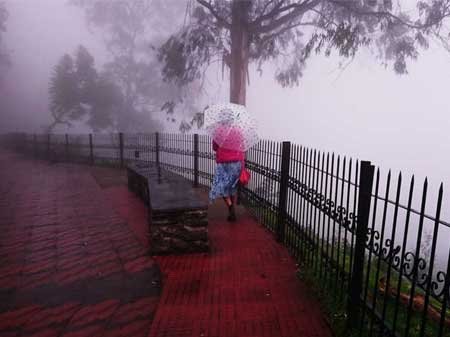 Taxi in Tirupati kodaikanal sightseeing car rentals package