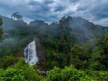 Taxi in Tirupati Munnar places to visit