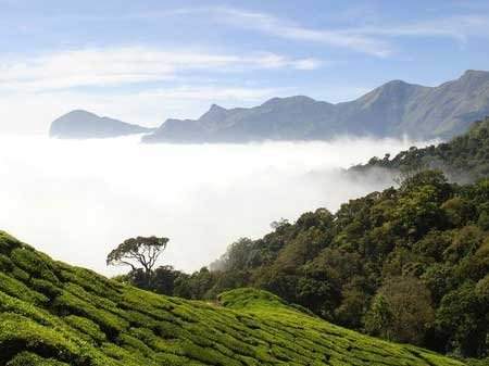Taxi in Tirupati Munnar places to visit