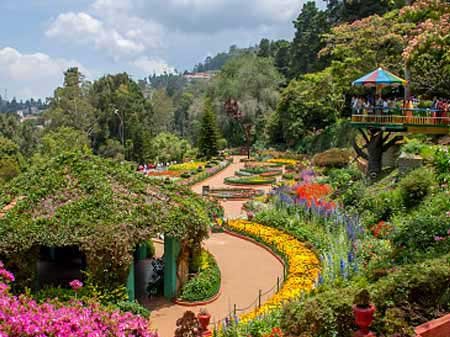 Taxi in Tirupati ooty sightseeing car rentals package
