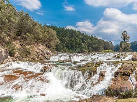 Taxi in Tirupati ooty sightseeing car rentals package