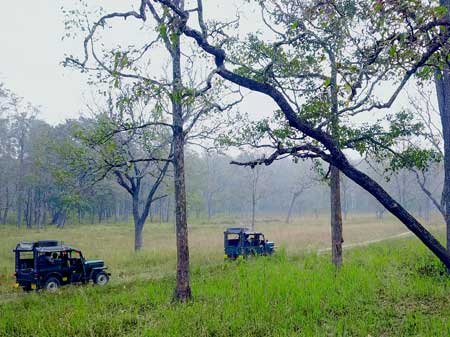 Taxi in Tirupati Wayanad places to visit