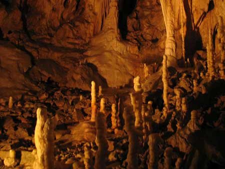 Taxi in Tirupati Yercaud places to visit