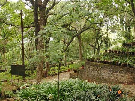 Taxi in Tirupati Yercaud places to visit