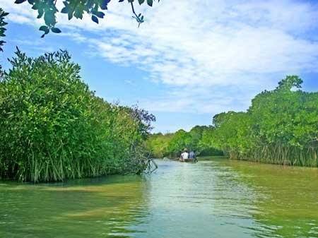 Taxi in Tirupati Chidambaram Car Rentals