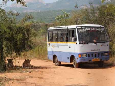 Taxi in Tirupati SV ZOO Park